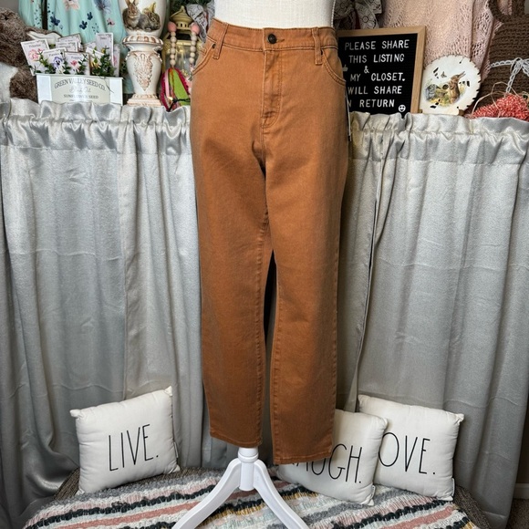 Belk Women's Skinny Pants in Rust - Picture 2 of 11
